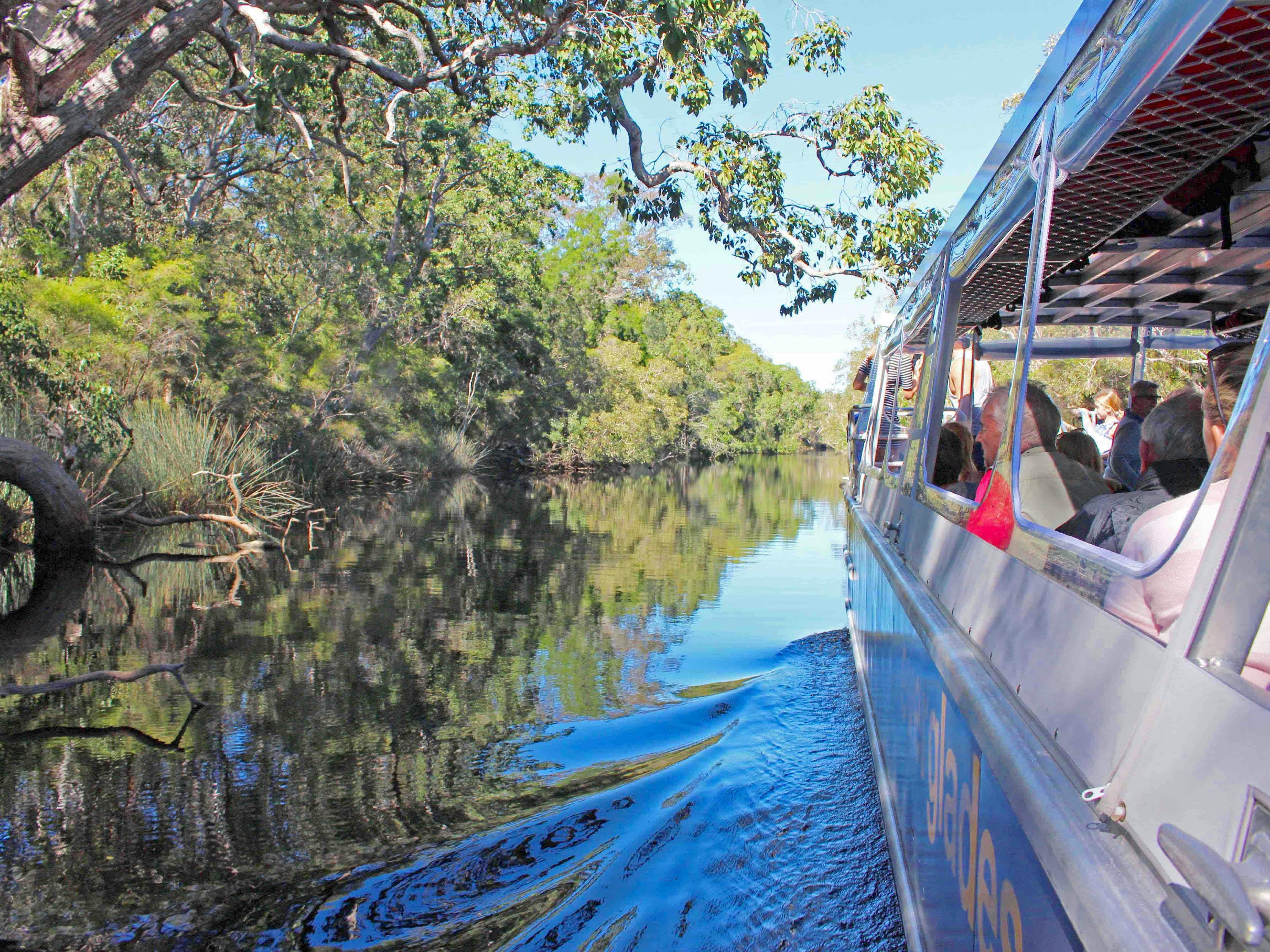 Noosa Everglades and Hinterland Villages Tour with Everglades River Cruise