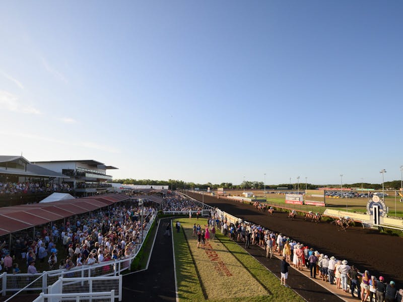 Image for Great Northern Darwin Cup