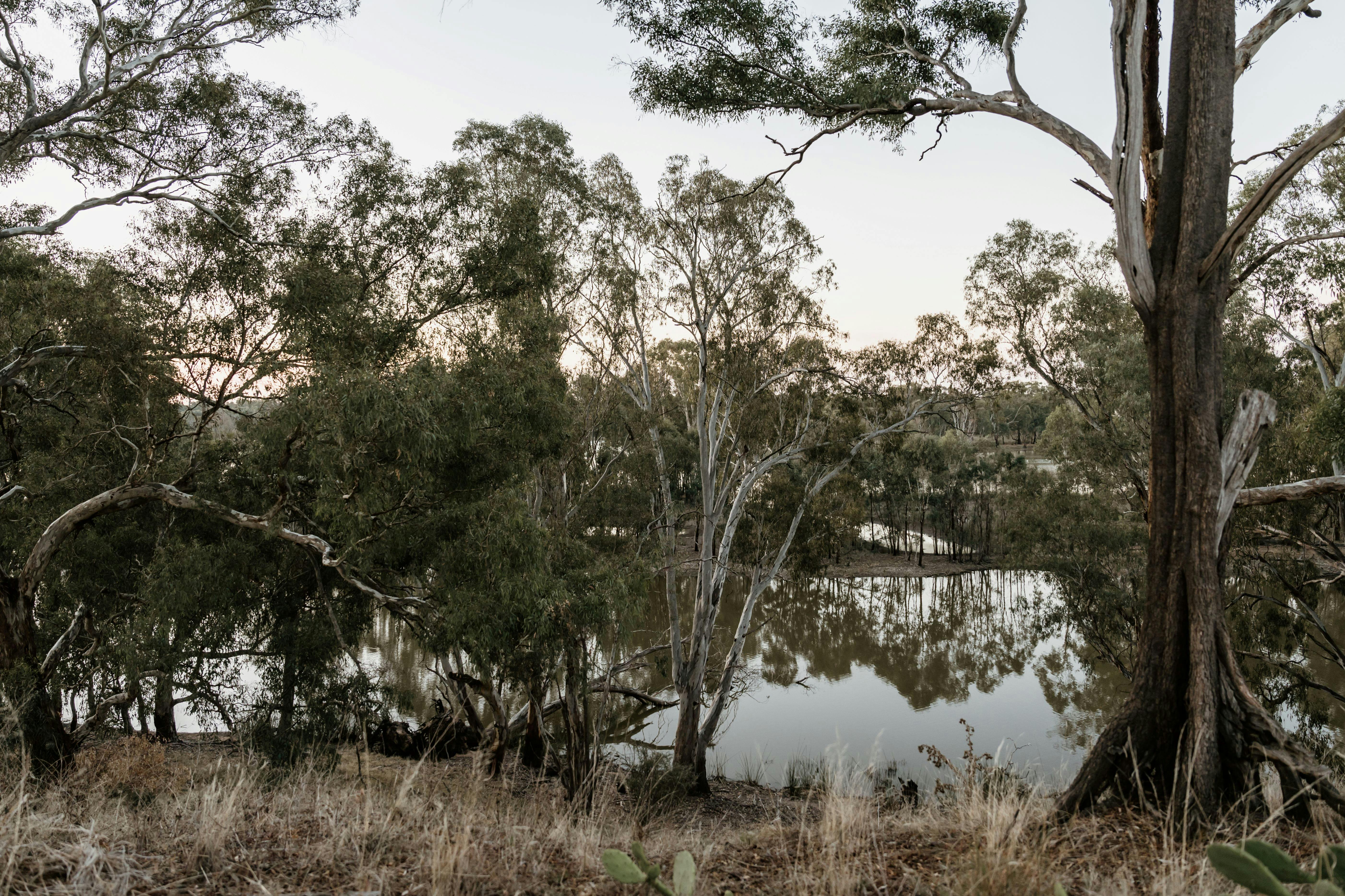 View of Lake Moodemere from your villa