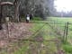 Rusty farm gate, green grass, directional signage, fence, paddock, river red gums in background