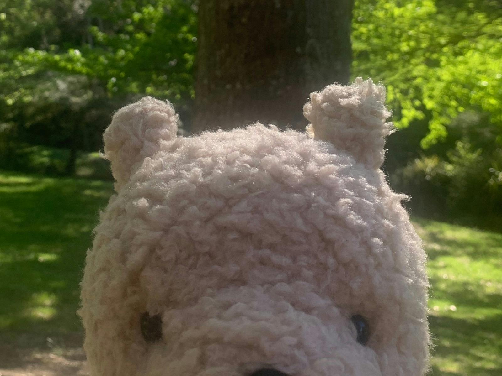 Pooh bear in park by tree