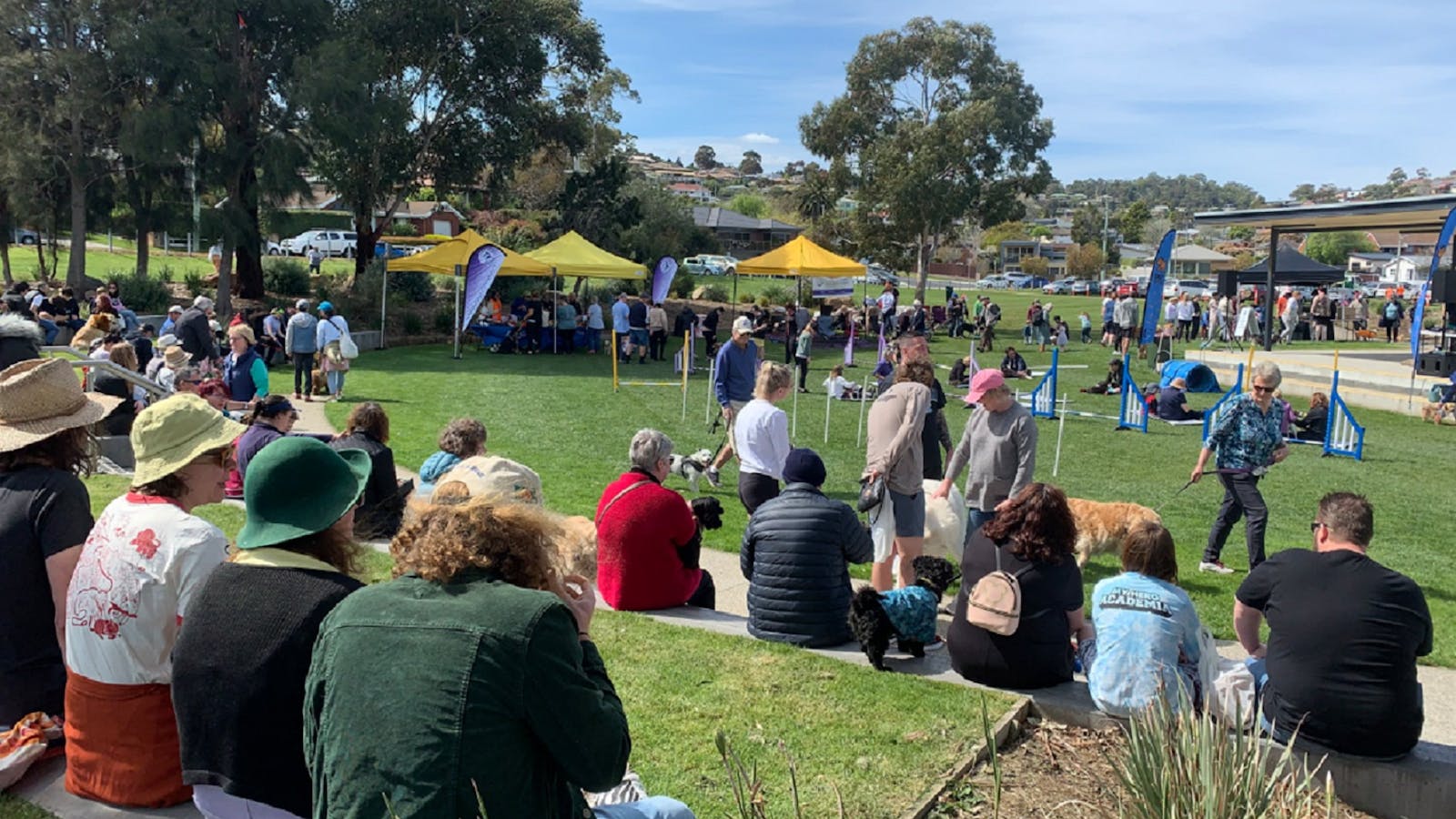 The crowd watching the agility contests at DDO '23.