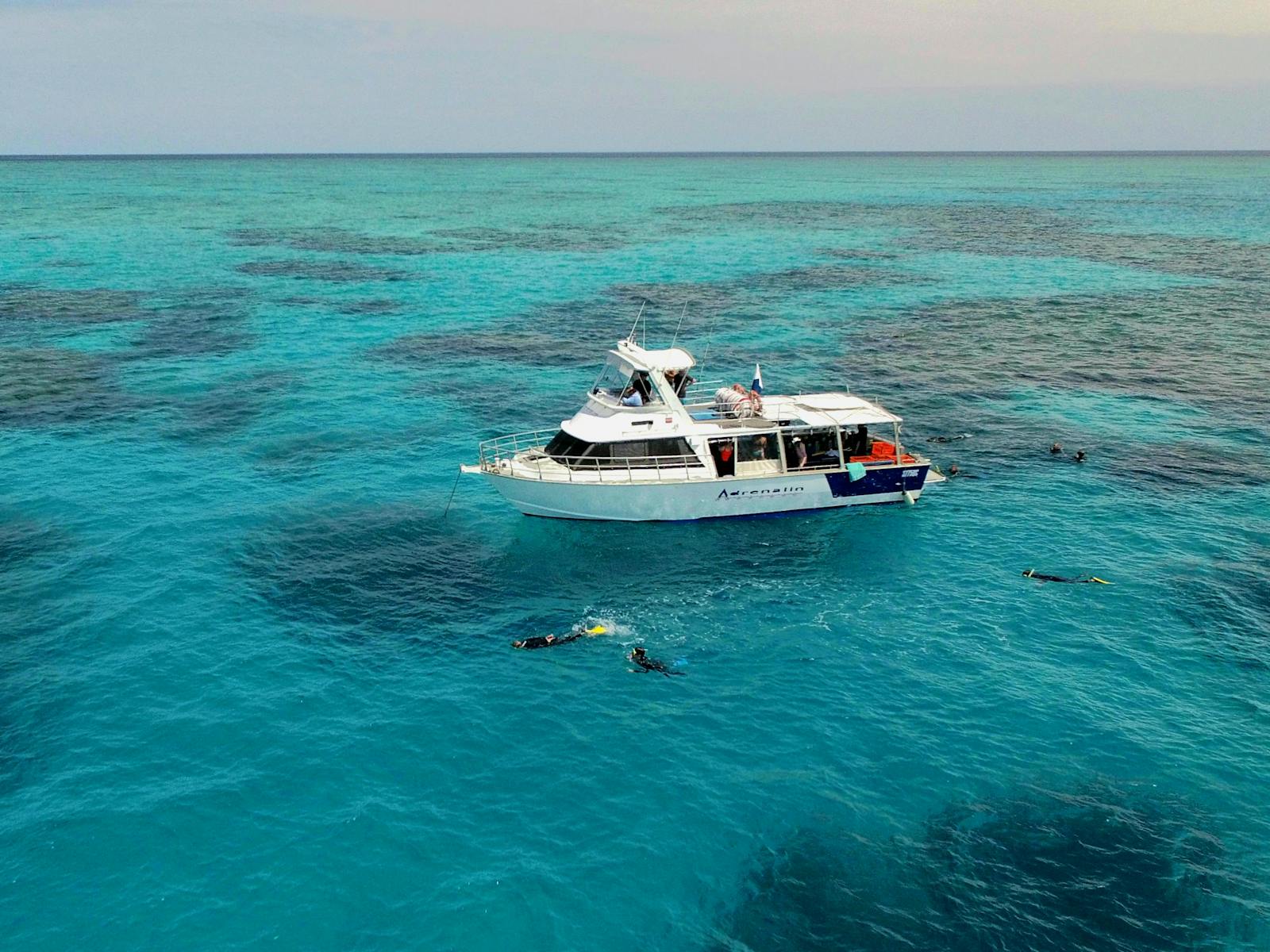 Lodestone Reef - Adrenalin Snorkel and Dive