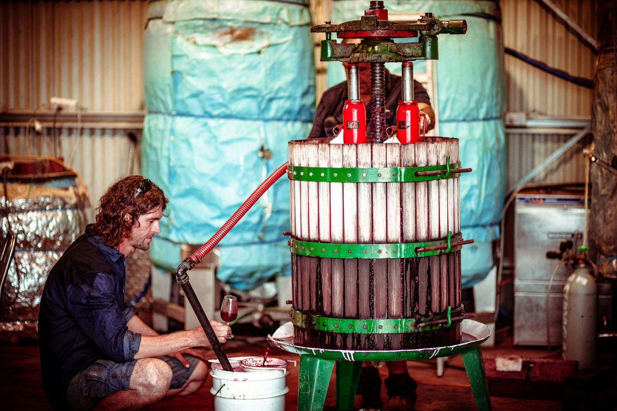 Liam and Bob Heslop using the basket press during vintage