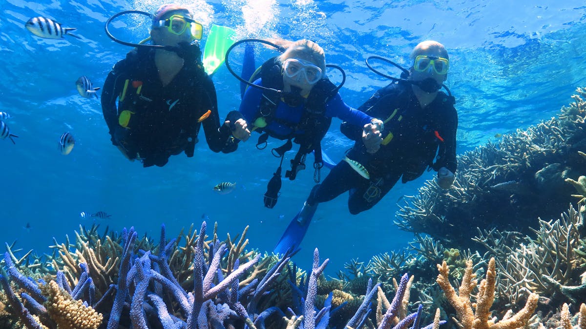 scuba divers