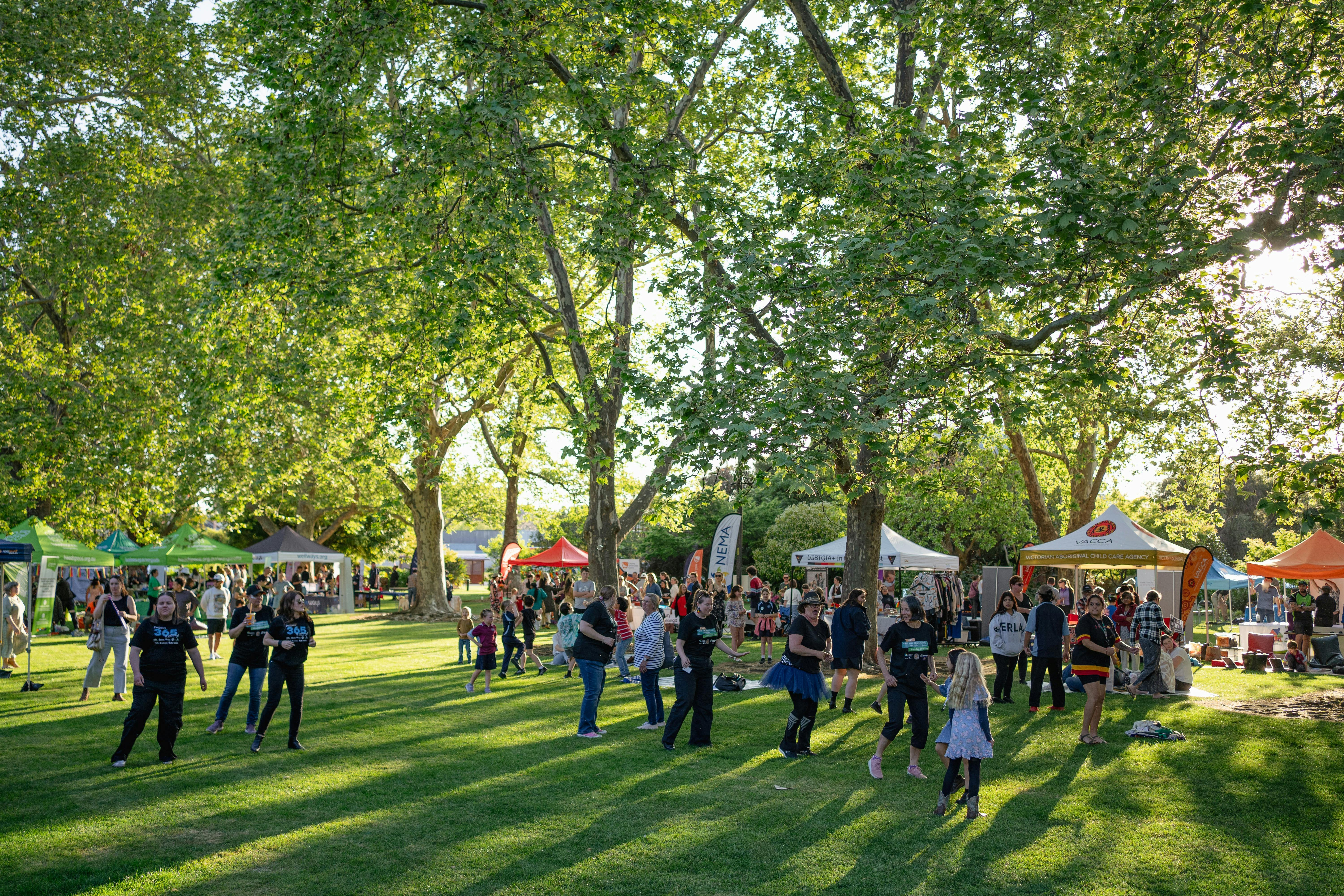 people in a Park