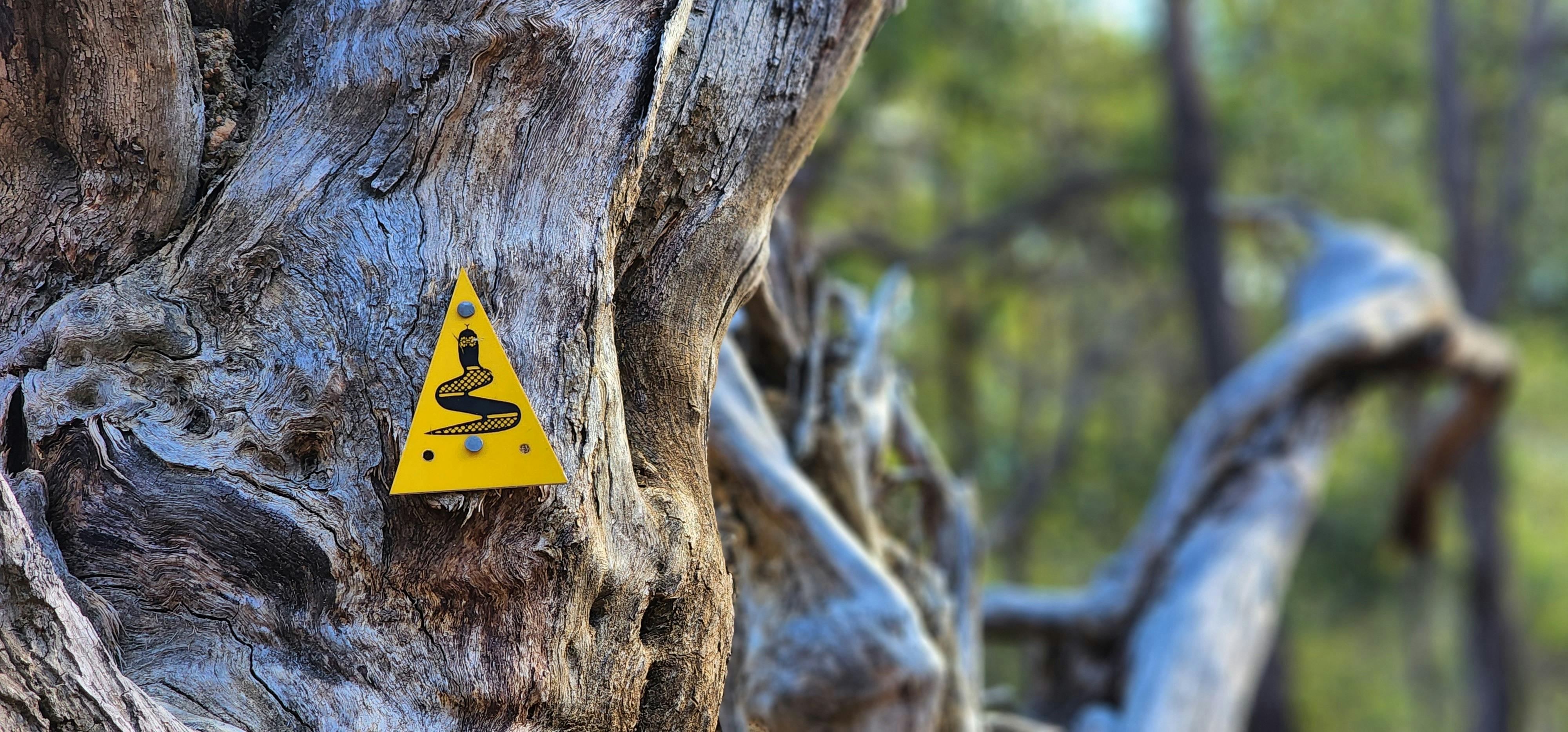 Close up of triangle yellow Bibbulmun Track marker on tree