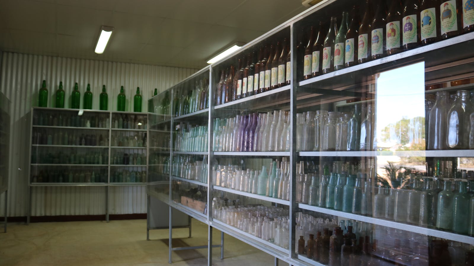 The Jackson Collections