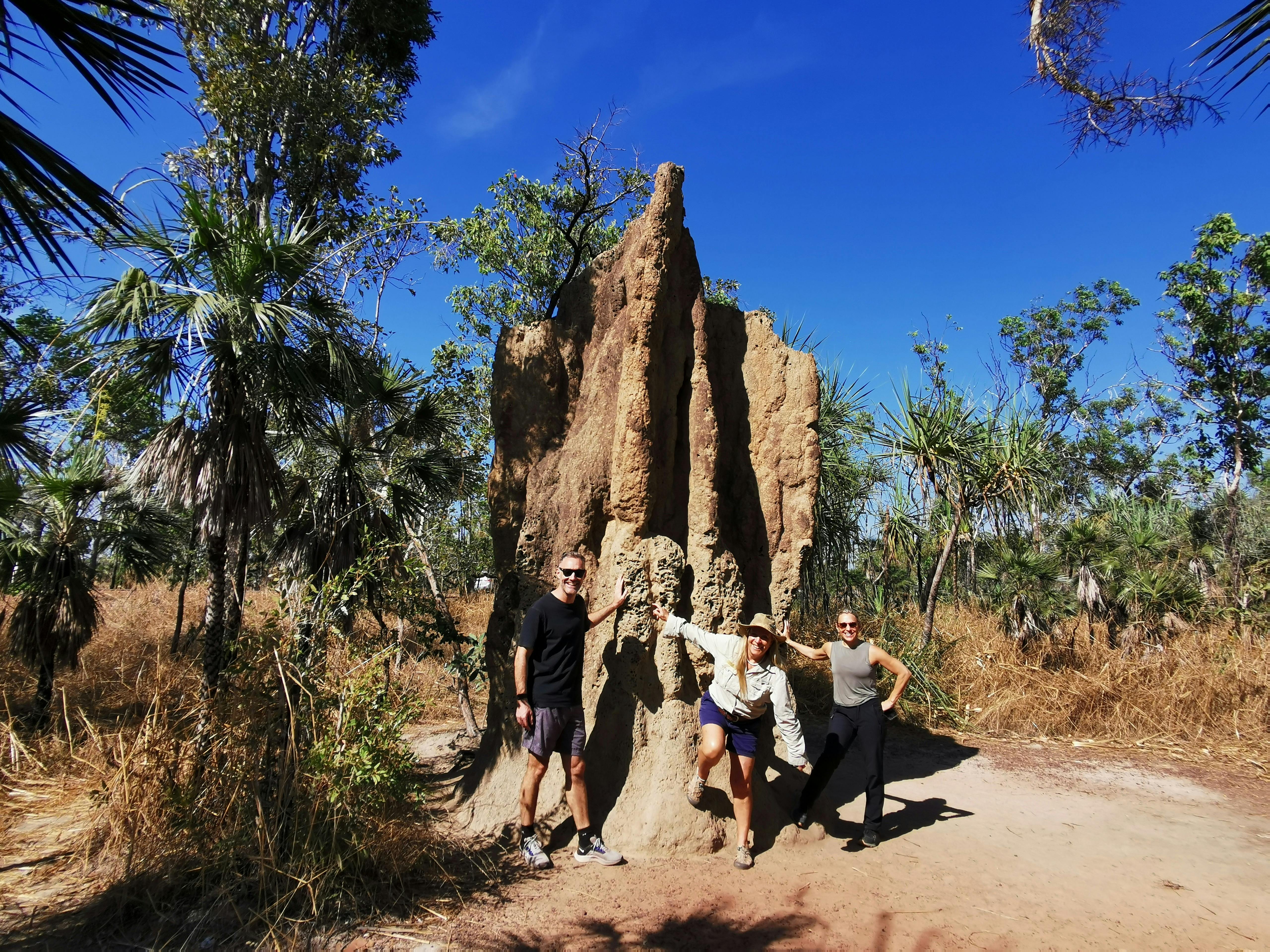 giant termite mounds