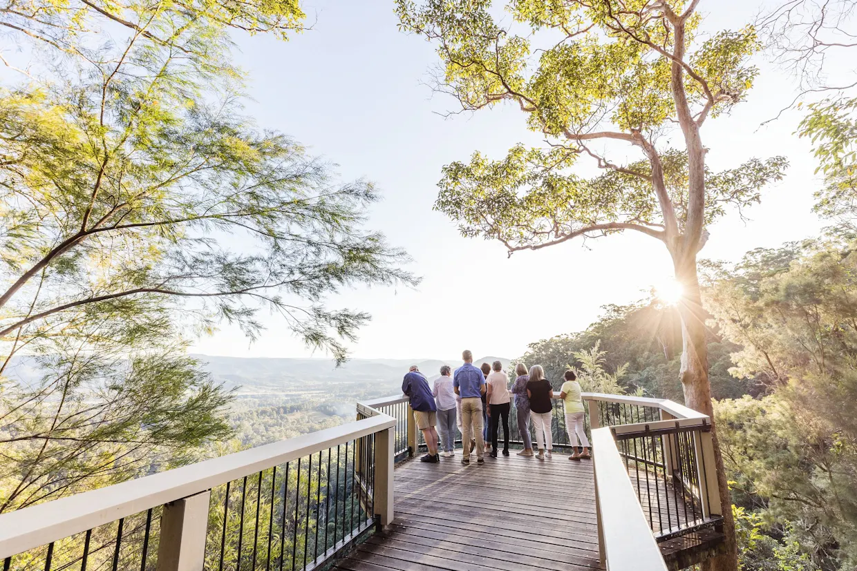 Sunshine Coast Hinterland Scenic Culinary Experience: Discover Montville and Maleny