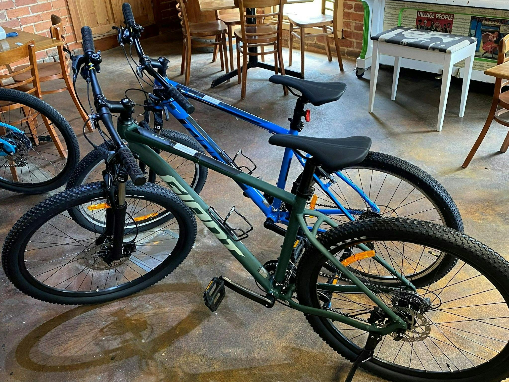 Large bikes available for the taller adult