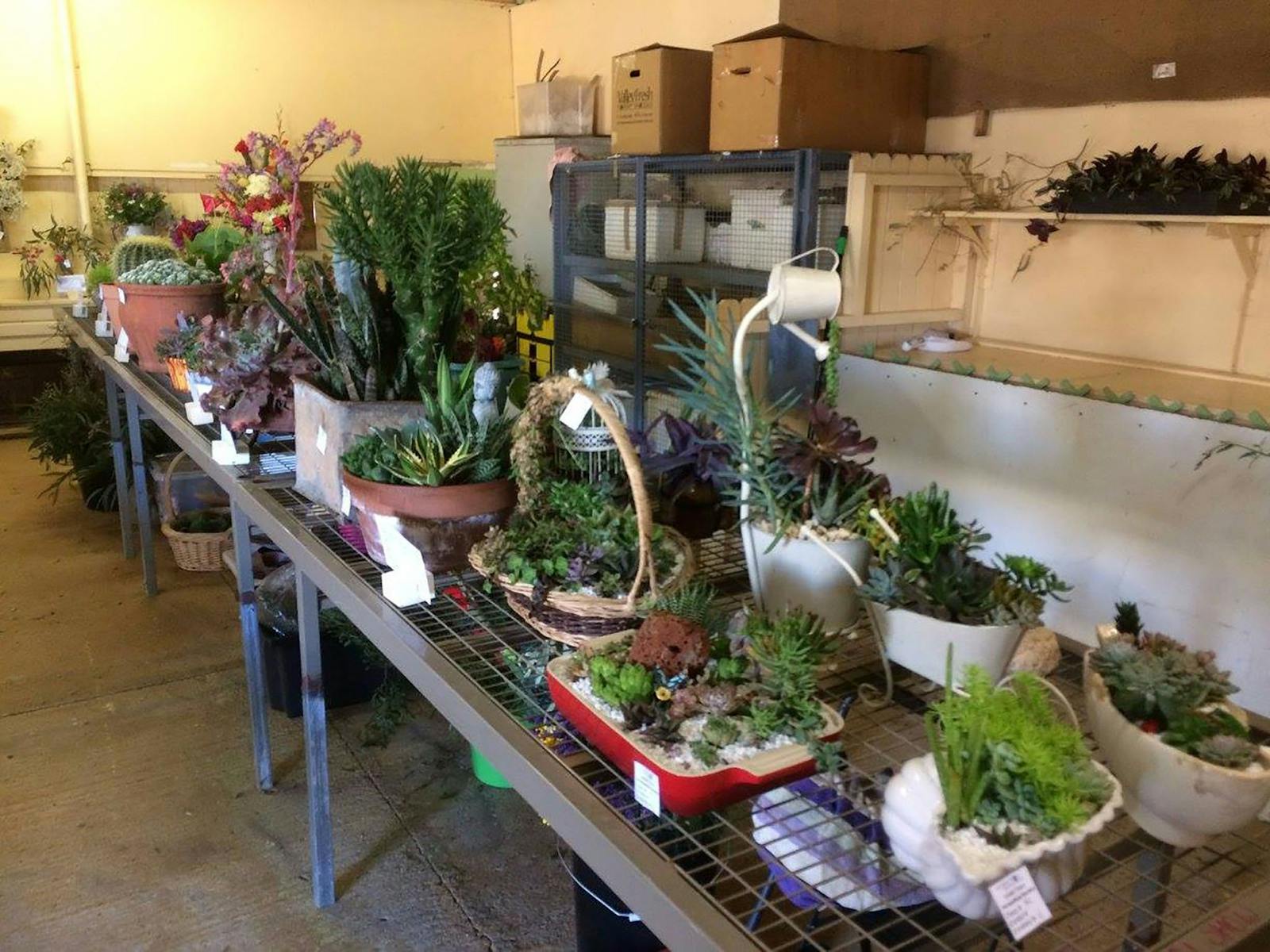 納拉布里年度展