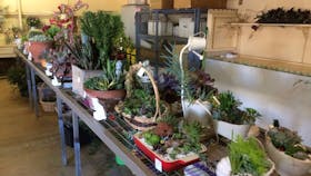Narrabri Show