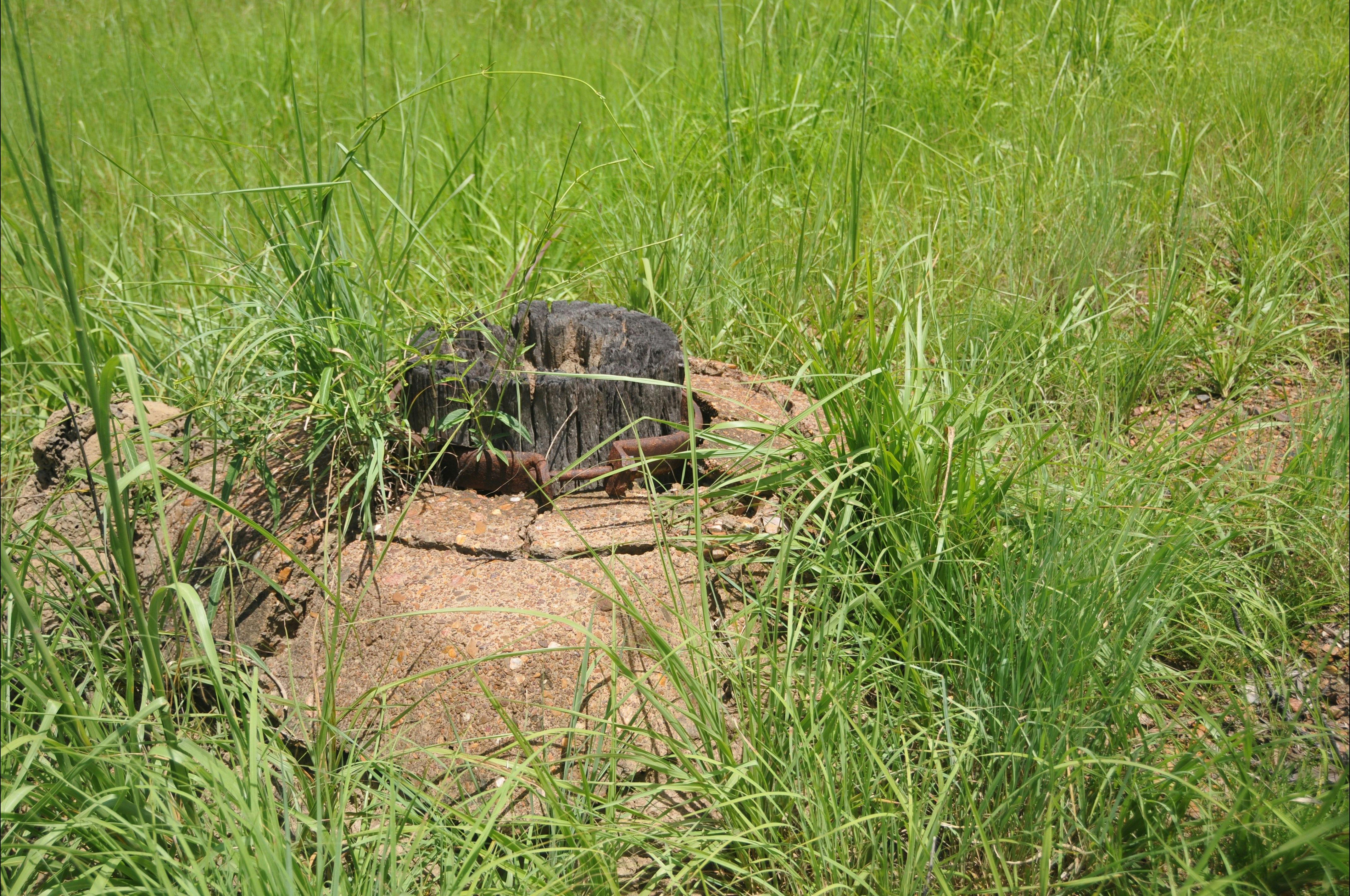 Brocks Creek Chinatown and Temple Site