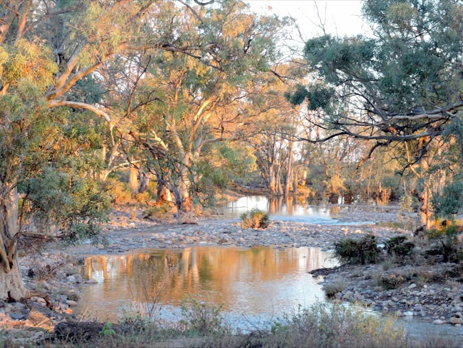 Balcanoona Shearers Quarters
