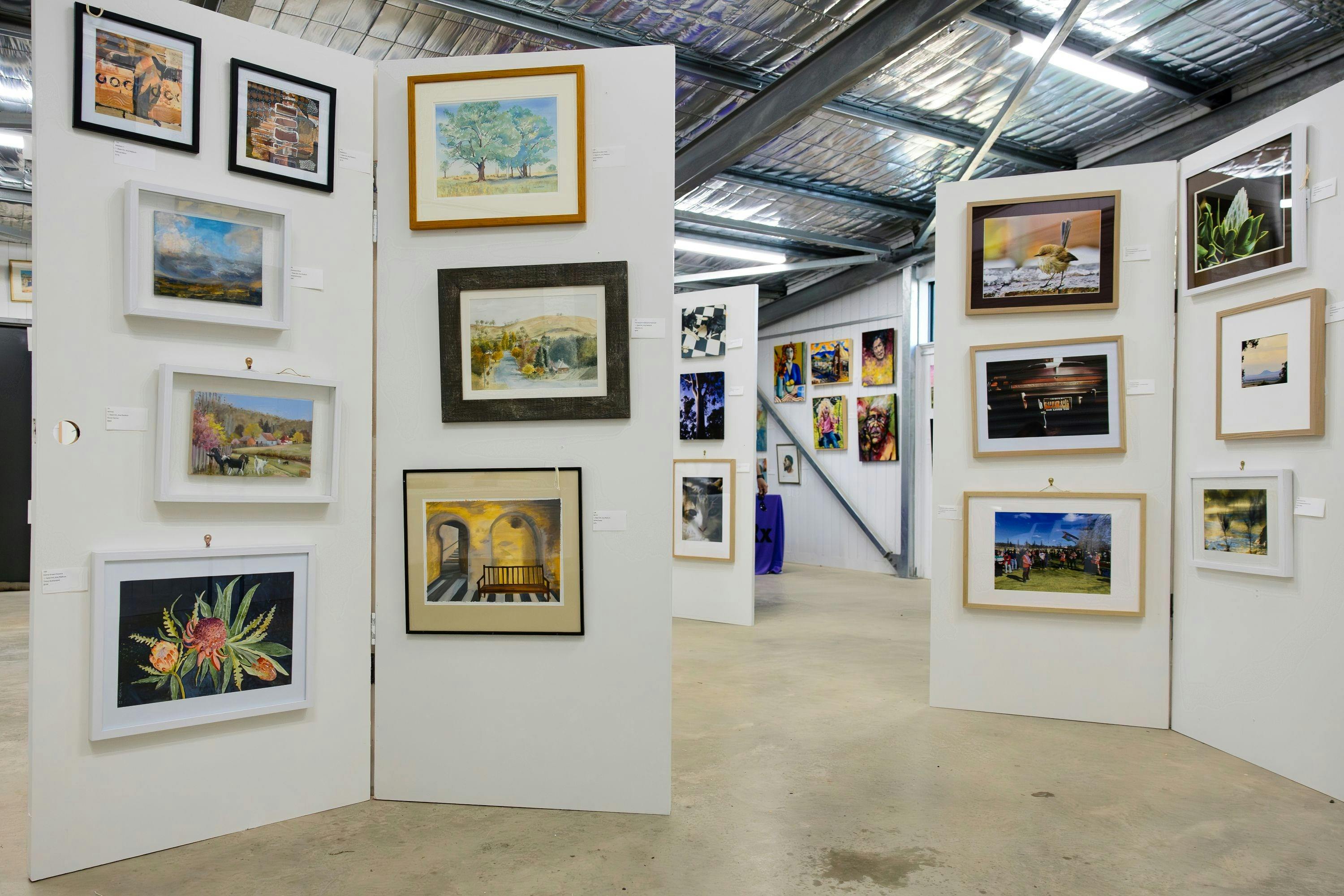 Some of the works at the 2025 Newbridge Art Show