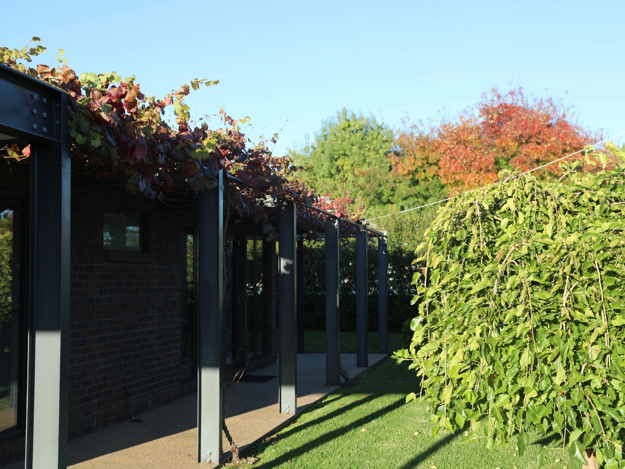 The Robert Jack front