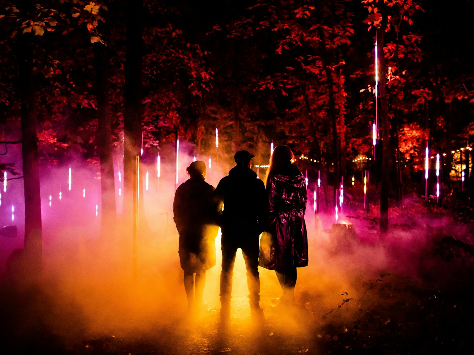 Image for Light Cycles