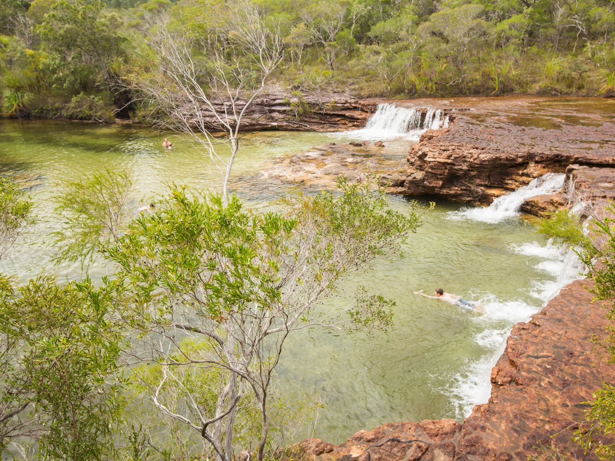 Fruit Bat Falls Cape York