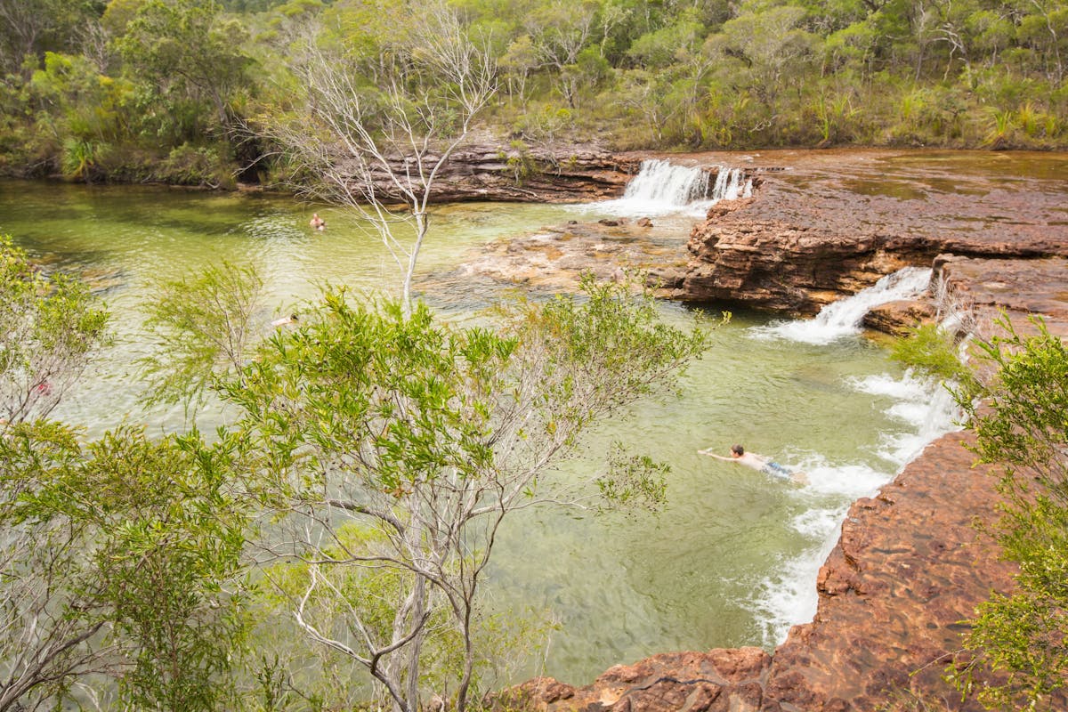 Fruit Bat Falls Cape York