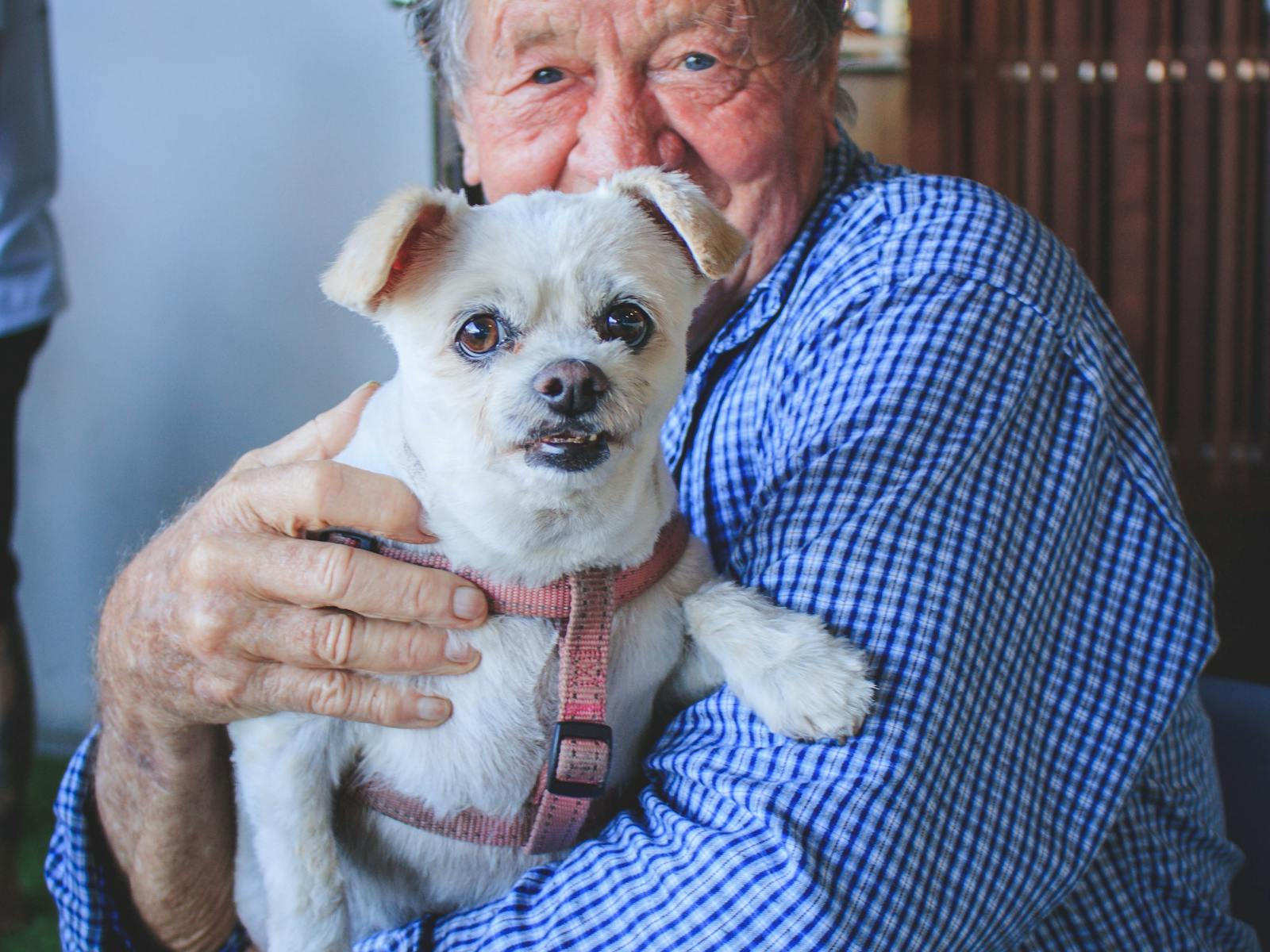 Image for Pets at the Pub at The Seabreeze Mackay