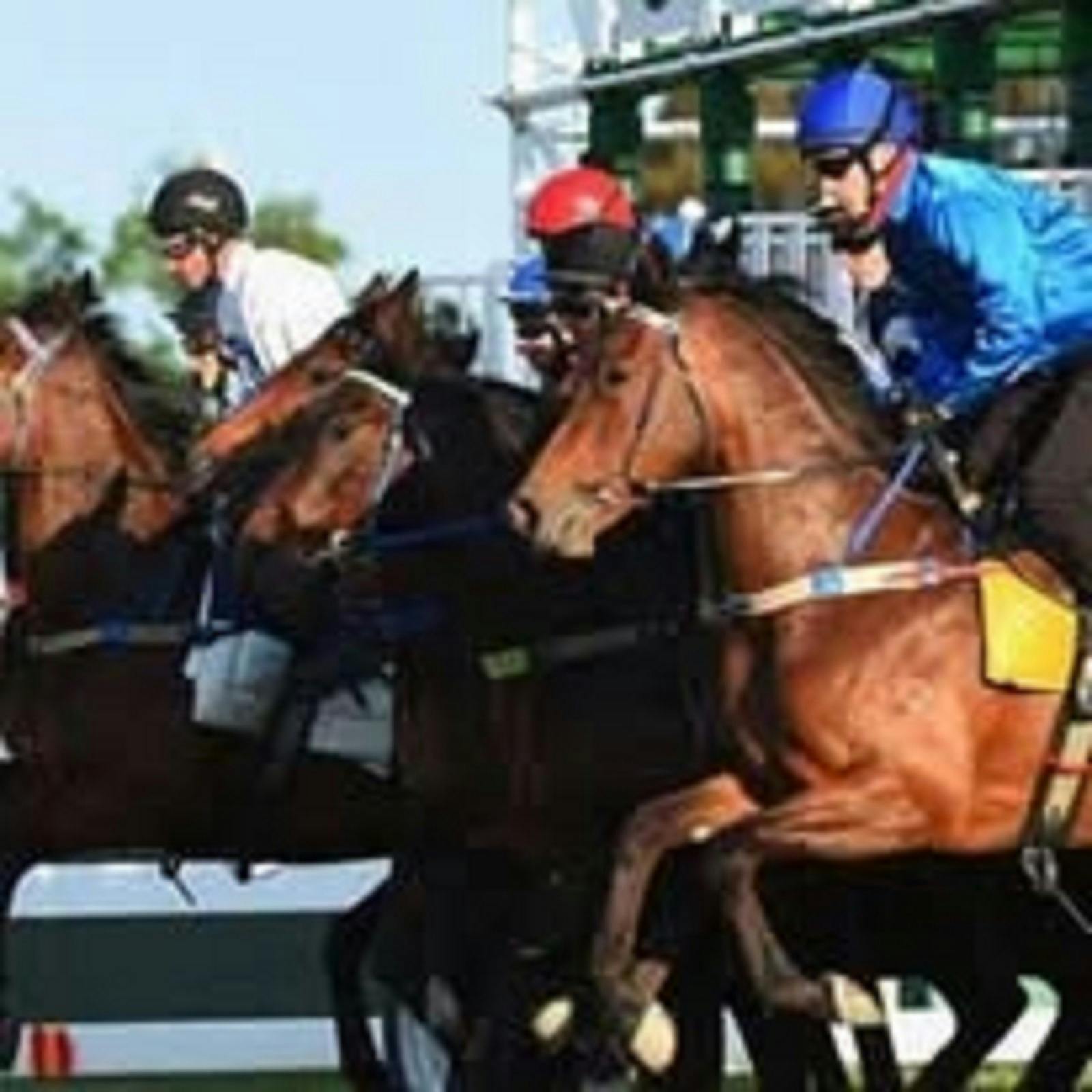 A photo of a brown horse eager to gallop down the racecourse. The jockey has a blue silk top .
