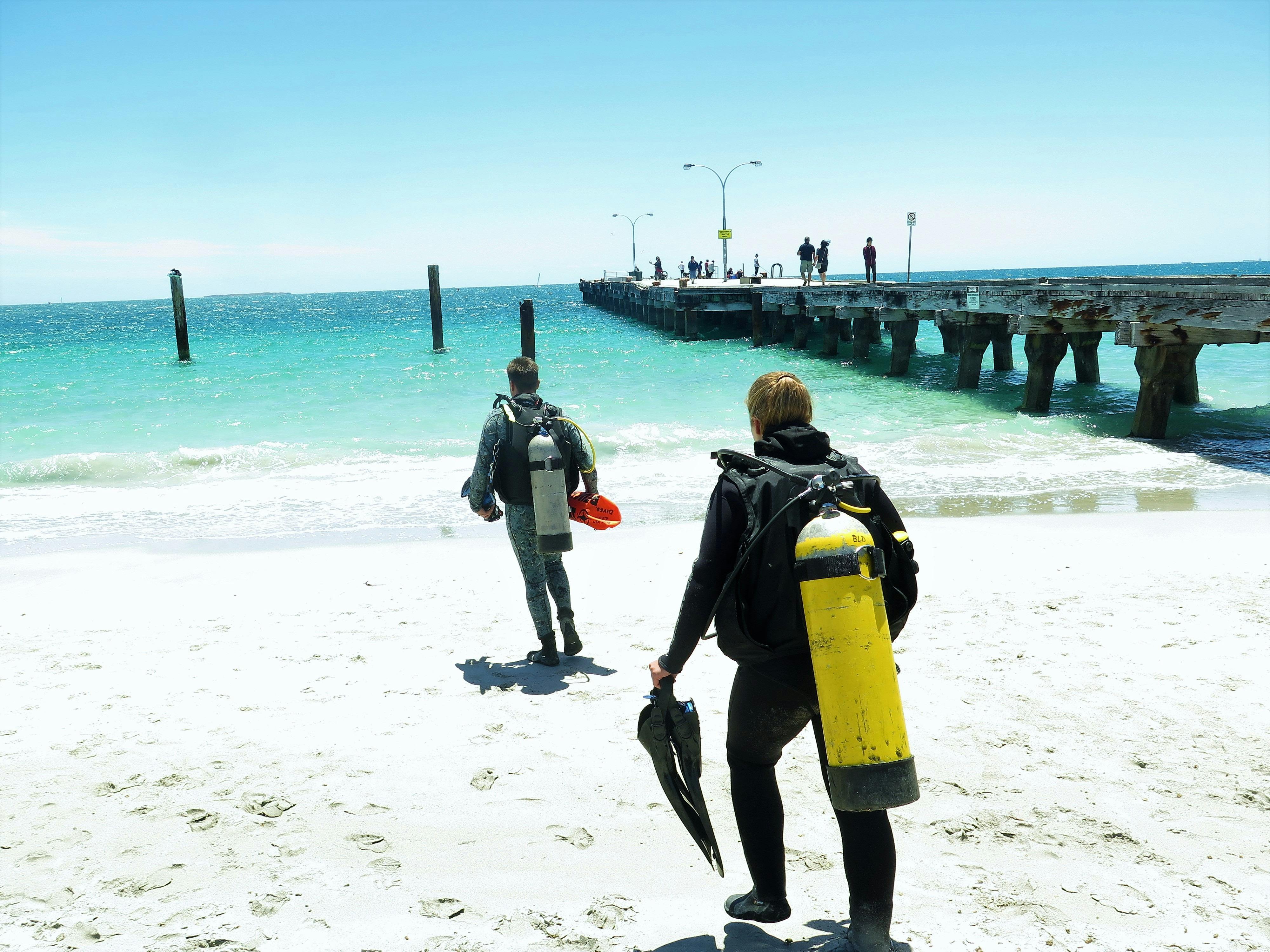 Bucket List Dive, Fremantle, Western Australia