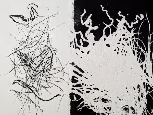 Hidden Ecology Exhibition, Coal Creek