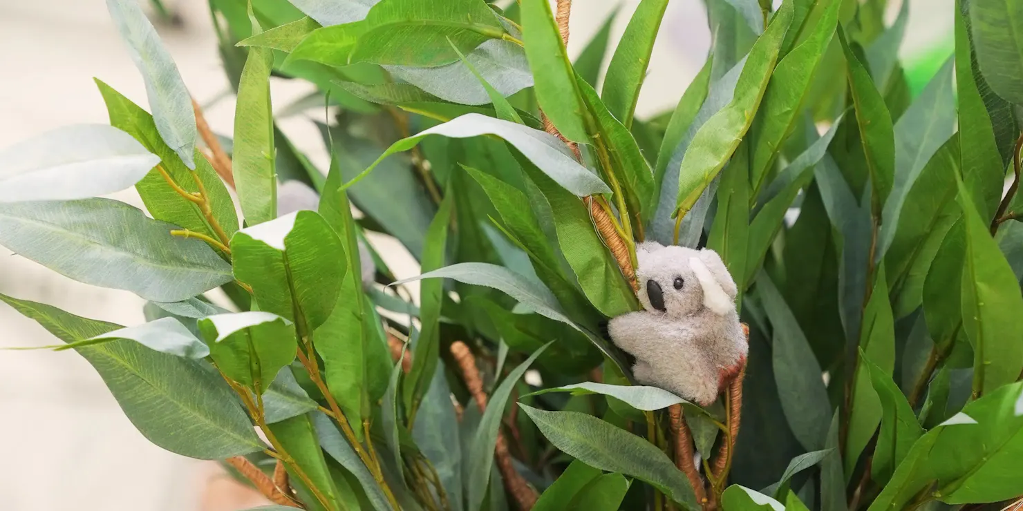 Alsahwa Estate - Koala Detective Workshop