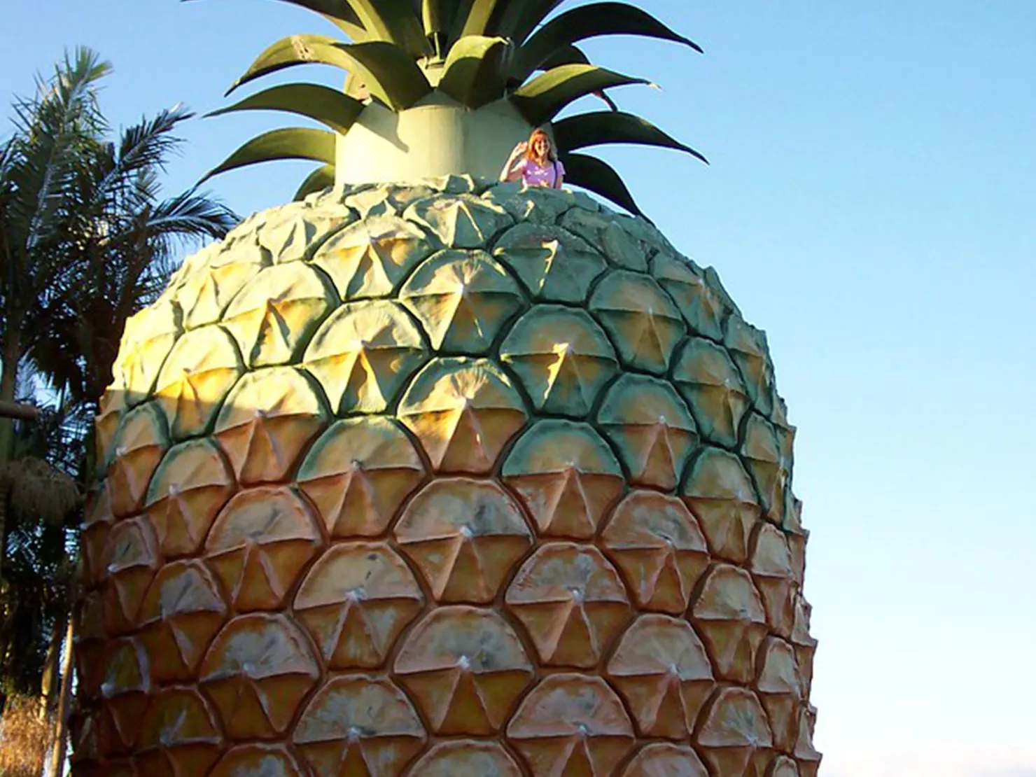 Big Pineapple