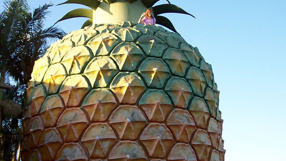 Big Pineapple