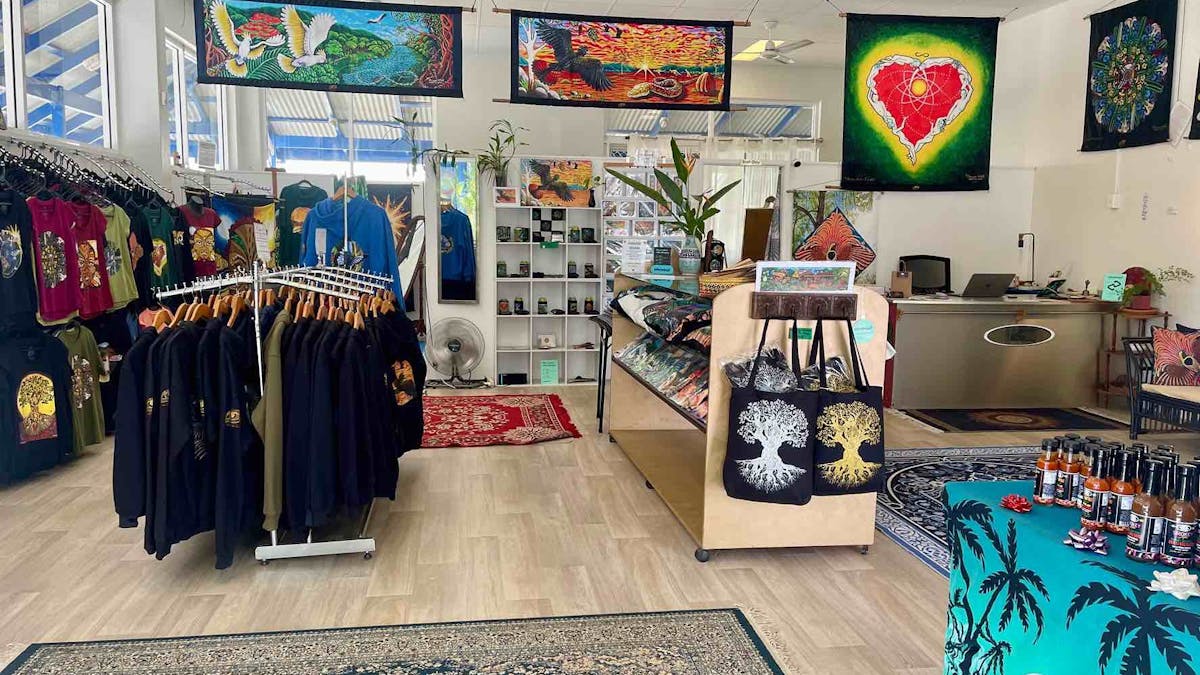Art of ION Shop/Gallery Hoodies, T's, Tapestries & more!