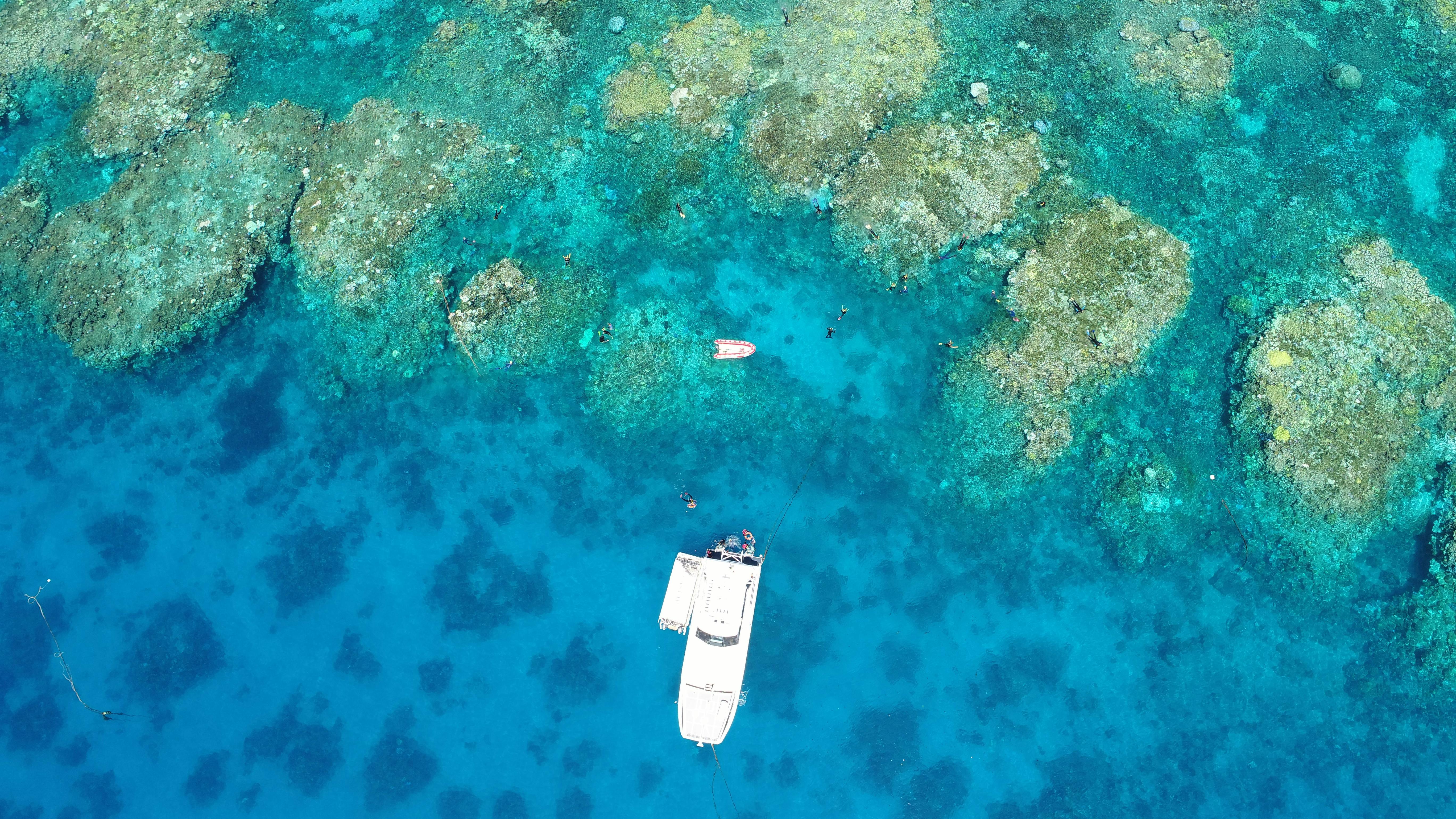 Seastar at Hastings Reef