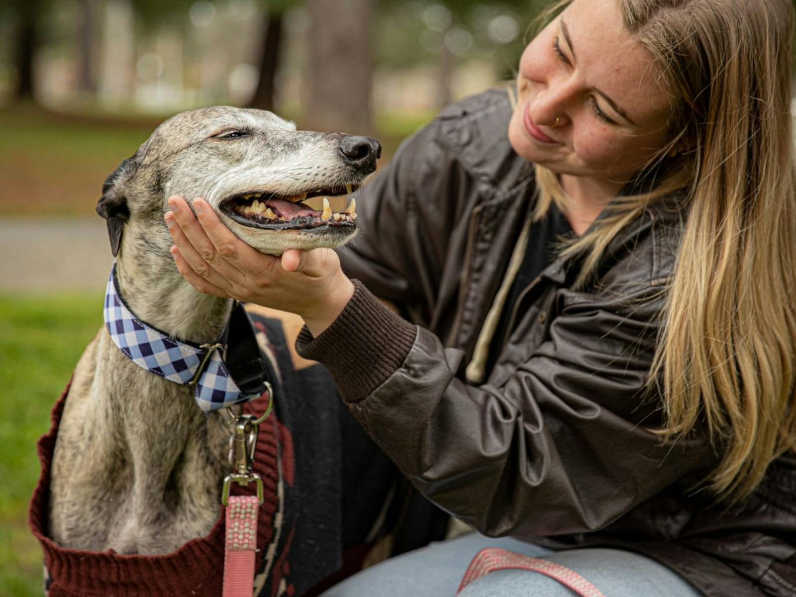 The Great Treat Hunt Paws Party