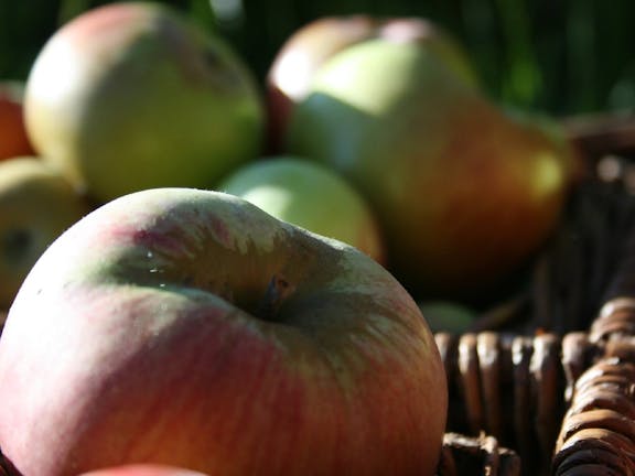 Denmark Heritage Cider Company