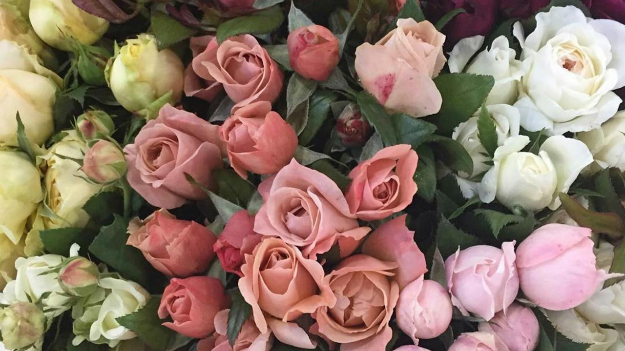 Sydney Flower Market