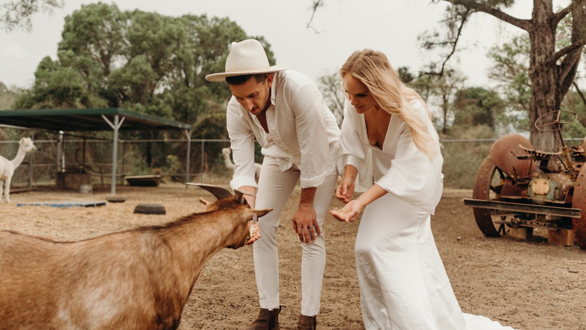 Feed cute baby goats, alpacas. Meet Miniature donkeys. Enjoy 5 acres of space to explore Tamborine!
