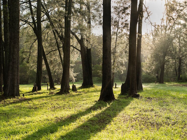 Araluen Campground