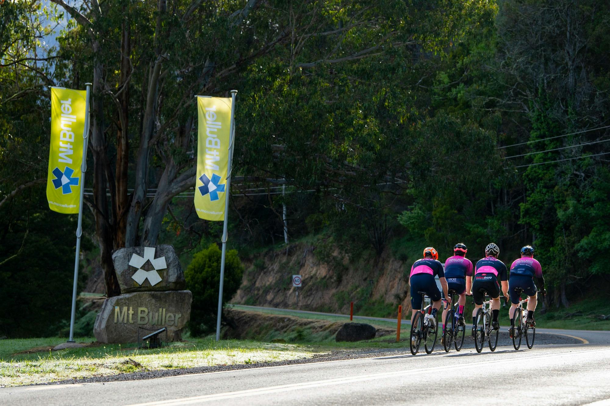 Group of cyclists cycling the Mt Buller 7 Peaks Challenge road route