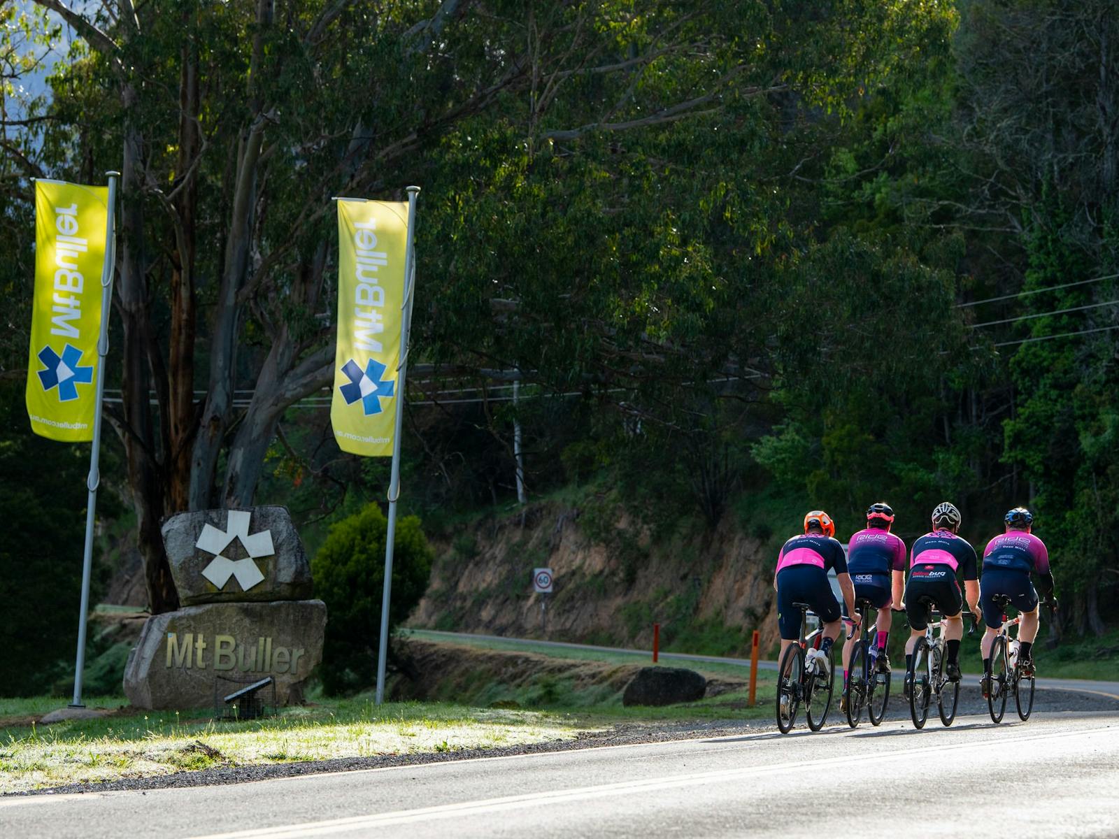 Group of cyclists cycling the Mt Buller 7 Peaks Challenge road route