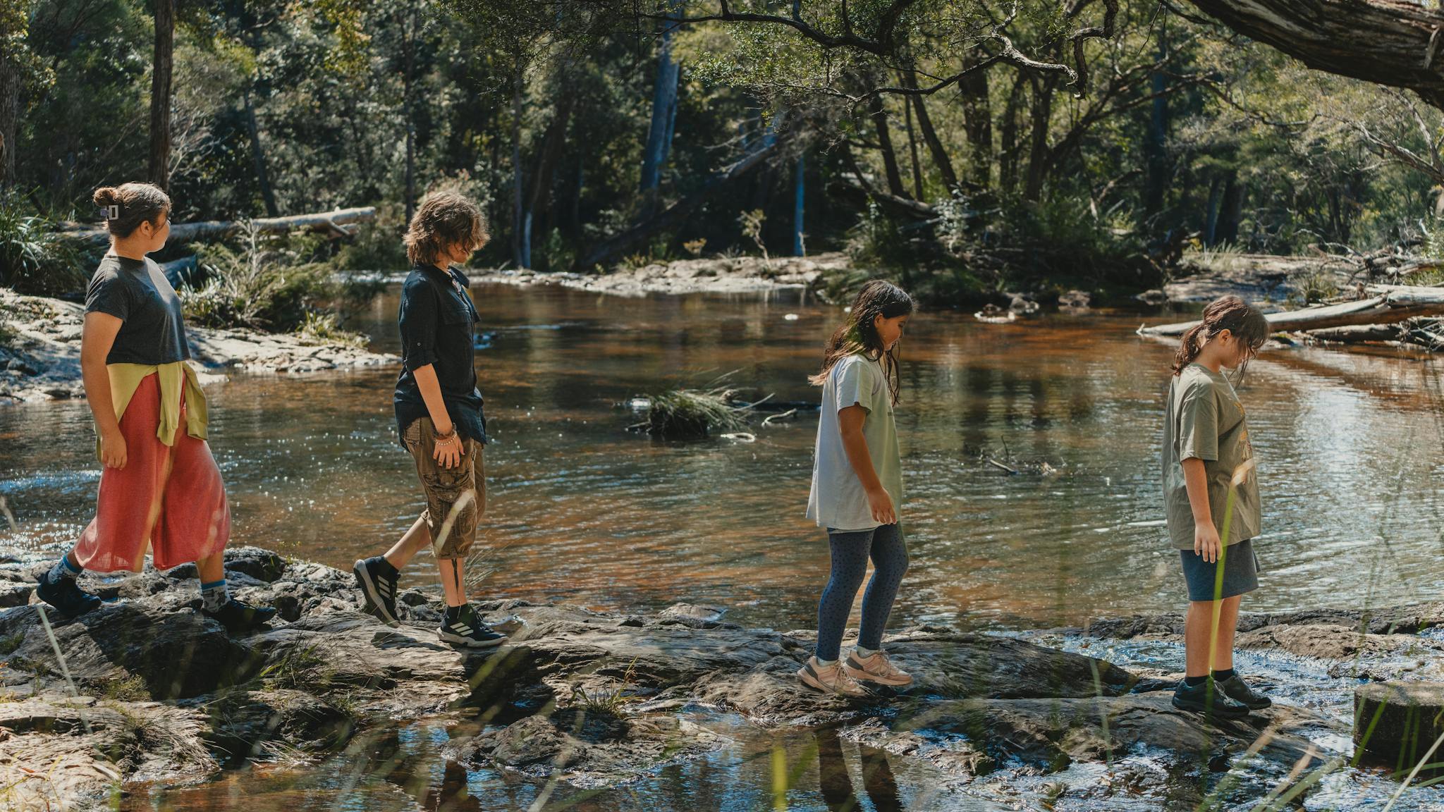 Get in touch with nature on a bushwalking tour