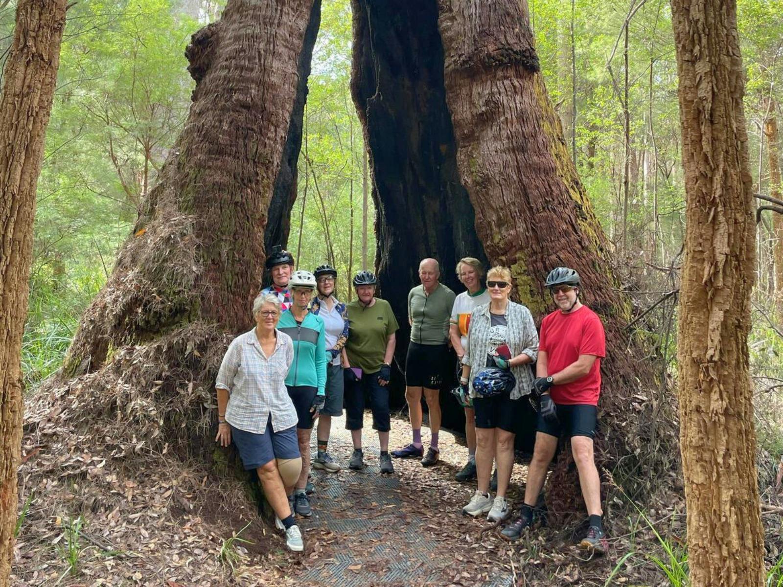 Australian Cycle Tours