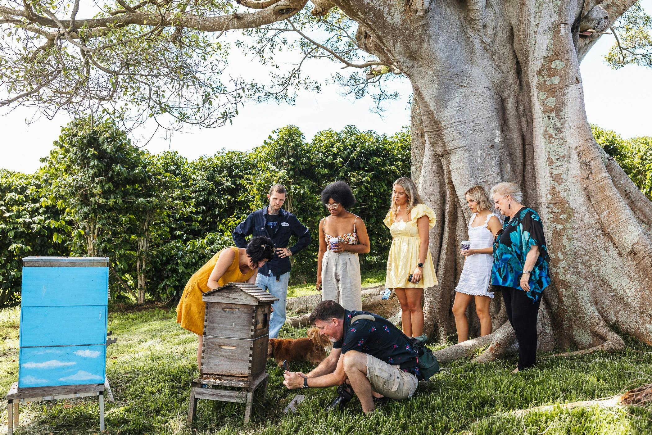 Zentveld's Coffee Plantation