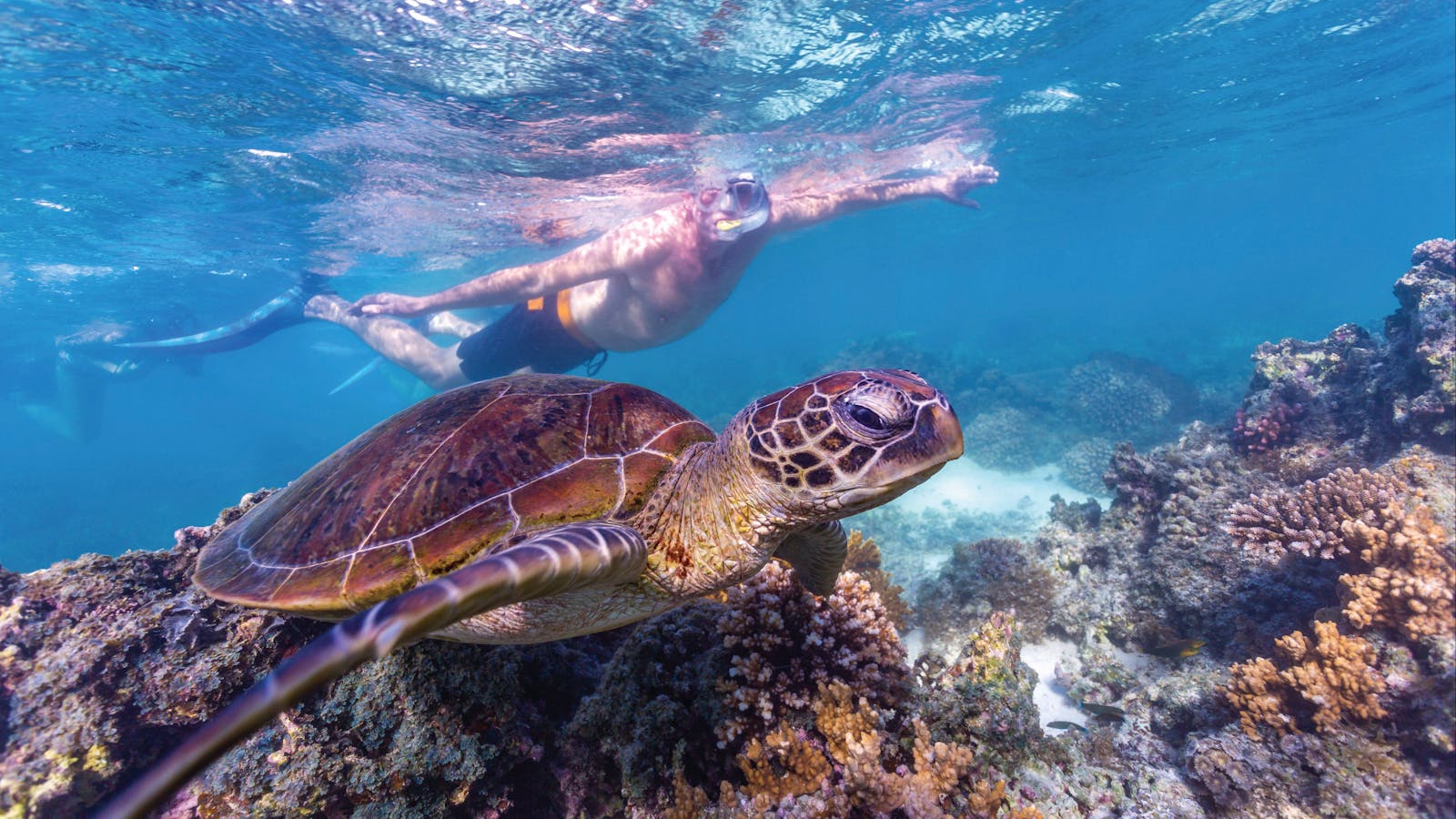Ningaloo Marine Park