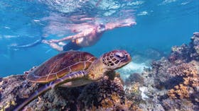 Ningaloo Marine Park