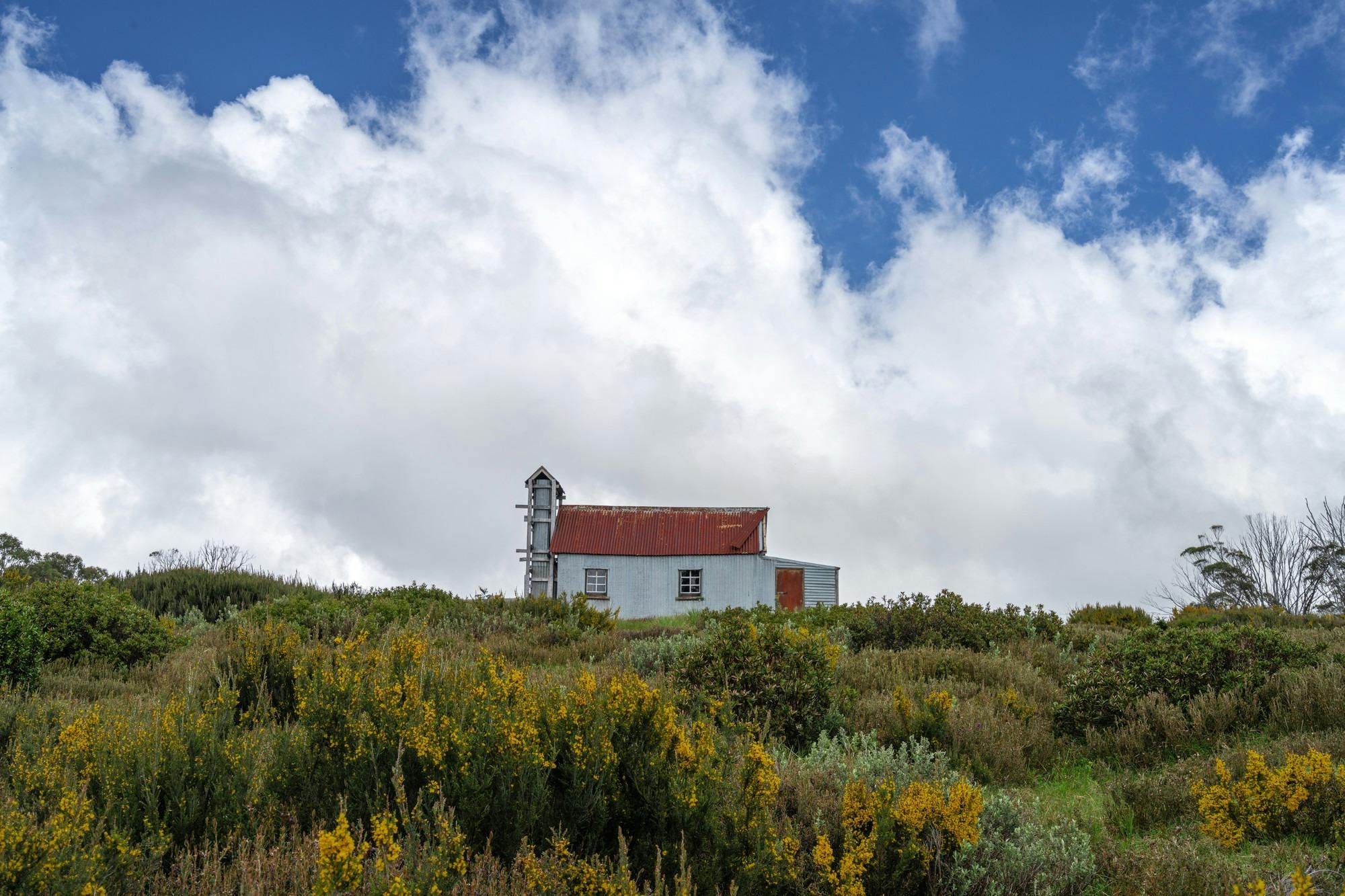 Spargo's Hut in the green season, Mt Hotham