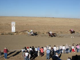 Horses sprinted towards the finish line
