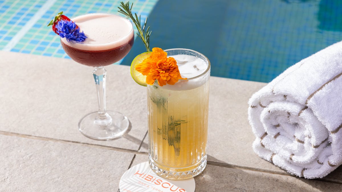 Cocktails by the pool - Hibiscus Bar & Terrace, Level Four Hyatt Regency Brisbane