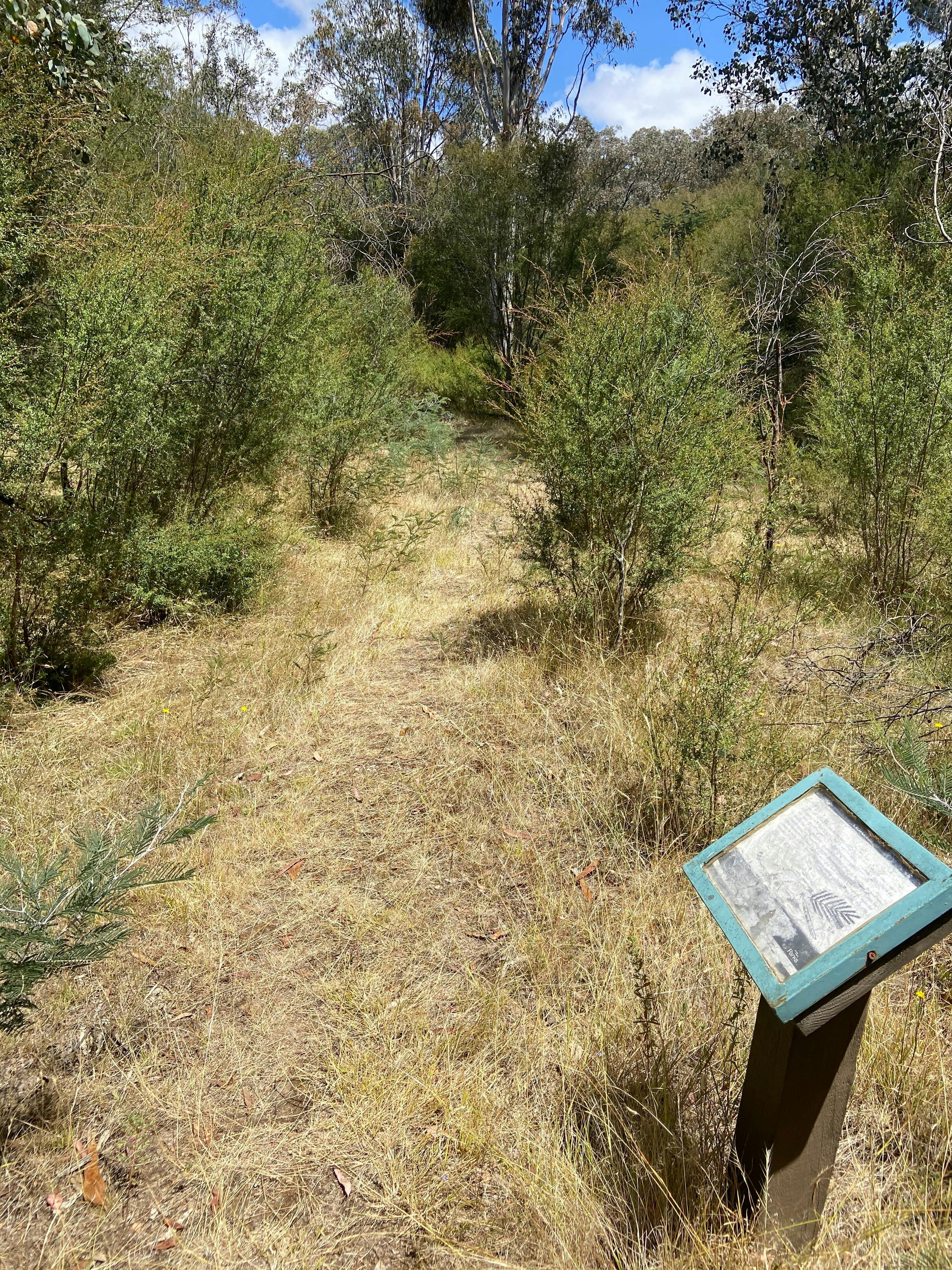 Perfect Cure Creek Nature Trail