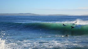 Broulee surfer